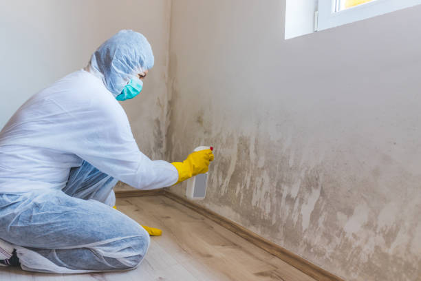 Hvac And Air Duct Mold Remediation inspection of HVAC system in Lewistown
